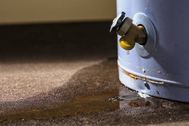 Best Flood damage cleanup  in Tyhee, ID