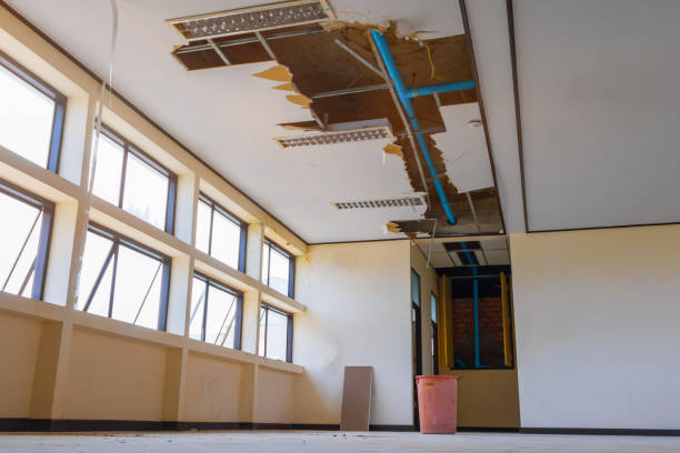 Best Water damage cleanup near me  in Tyhee, ID