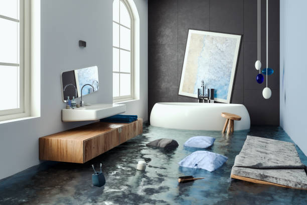 Best Sewage cleanup and water damage restoration  in Tyhee, ID