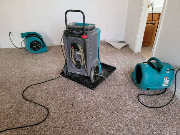 Best Water damage cleanup near me  in Tyhee, ID