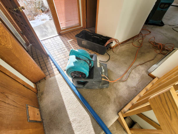 Professional Water damage restoration in ID