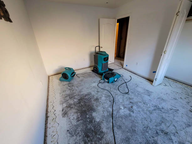 Best Carpet water damage restoration  in Tyhee, ID