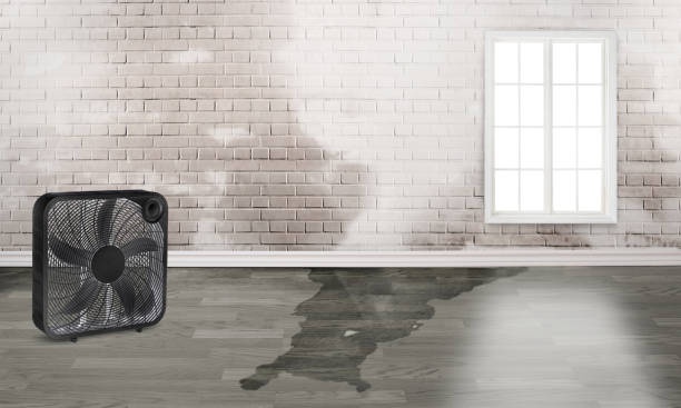 Best Fire Damage Restoration  in Tyhee, ID