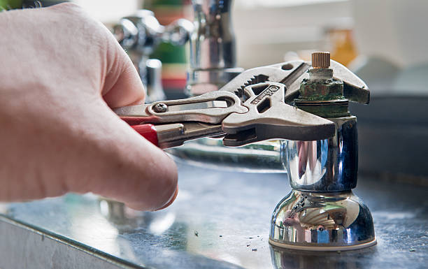 Best Professional water damage repair  in Tyhee, ID