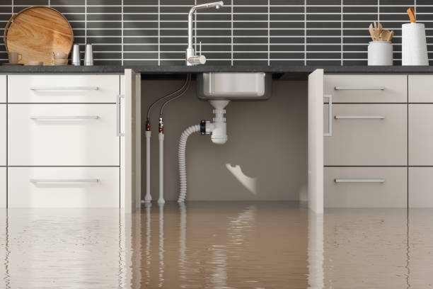 Best Water damage restoration process  in Tyhee, ID